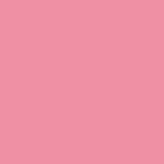 Rasberry Sherbet